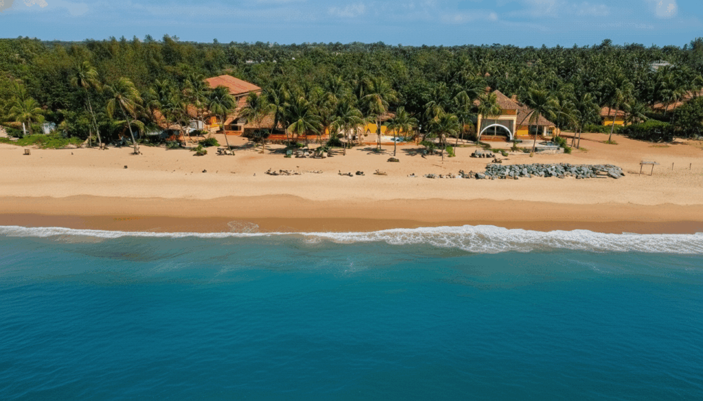 Aerial view of a beach resort with palm trees and turquoise water