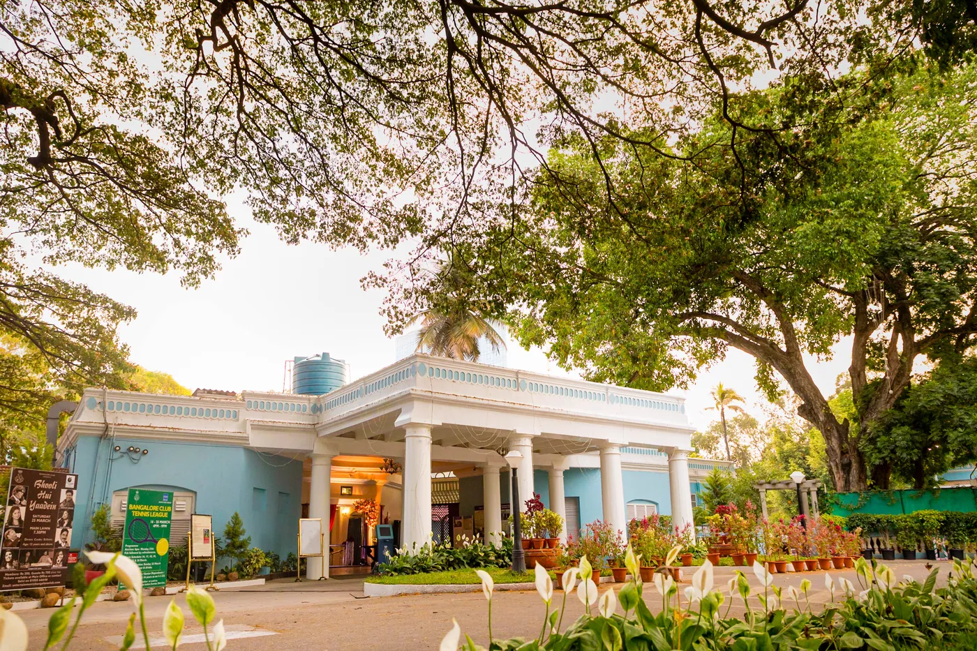The pale blue colonial clubhouse with white columns sits under big old rain trees in warm light