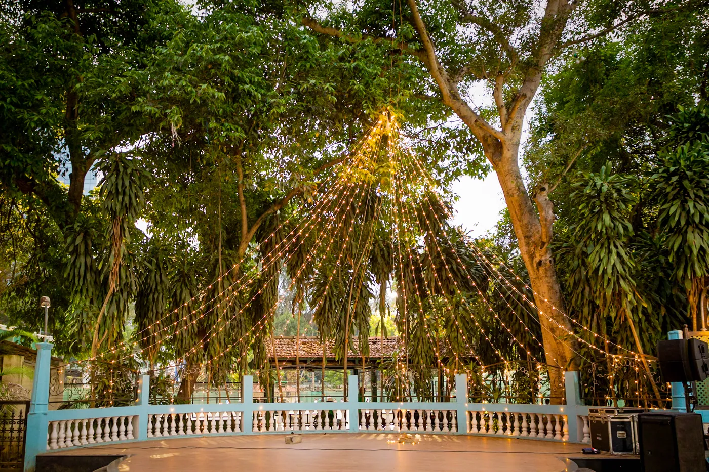 A cone of fairy lights rises through a banyan tree above a blue railed dance floor